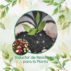 GENERICO - Fertilizante Inductor De Resistencia Para Flor Bellis Margarita