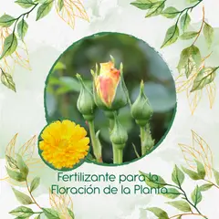 GENERICO - Fertilizante Para La Floración De Flor Caléndula Amarilla