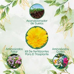 GENERICO - Kit De Fertilizantes Para El Trasplante De Flor Caléndula Amarilla