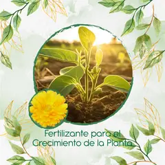 GENERICO - Fertilizante Para El Crecimiento De Flor Caléndula Amarilla