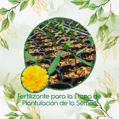 GENERICO - Fertilizante De Plantulación Para Flor Caléndula Amarilla