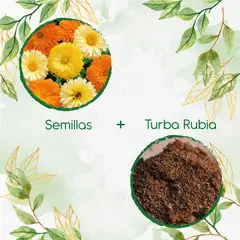 GENERICO - 140 Semillas De Flor Caléndula Mezcla + Turba De Germinación