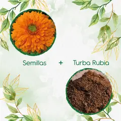 GENERICO - 140 Semillas De Flor Caléndula Naranja + Turba De Germinación