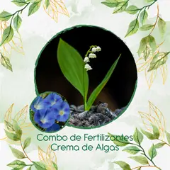GENERICO - Combo De Fertilizantes Crema De Algas Para Flor Campanilla Azul