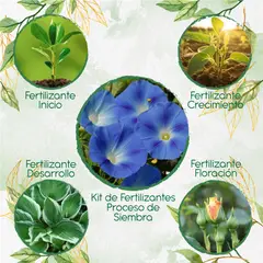 GENERICO - Kit De Fertilizantes Para La Siembra De Flor Campanilla Azul