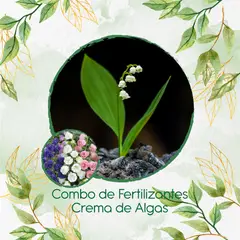 GENERICO - Combo De Fertilizantes Crema De Algas Para Flor Campánula