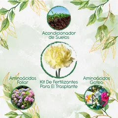 GENERICO - Kit De Fertilizantes Para El Trasplante De Flor Clavel Amarillo