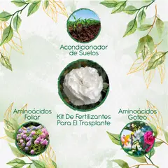 GENERICO - Kit De Fertilizantes Para El Trasplante De Flor Clavel Blanco