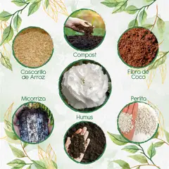 GENERICO - Kit De Acondicionadores De Suelos Para Flor Clavel Blanco