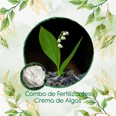 GENERICO - Combo De Fertilizantes Crema De Algas Para Clavel Jaspeado Blanco