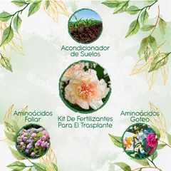 GENERICO - Kit De Fertilizantes Para El Trasplante De Flor Clavel Jaspeado Blanco