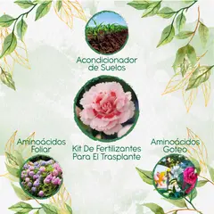 GENERICO - Kit De Fertilizantes Para El Trasplante De Flor Clavel Mezcla