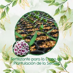 GENERICO - Fertilizante De Plantulación Para Flor Clavel Del Poeta