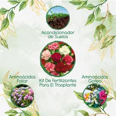 GENERICO - Kit De Fertilizantes Para El Trasplante De Flor Clavel Chabaud