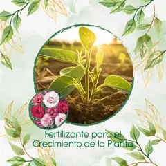 GENERICO - Fertilizante Para El Crecimiento De Flor Clavel Granadina- Grenadin