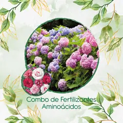 GENERICO - Combo De Fertilizantes Aminoácidos Para Clavel Granadina- Grenadin