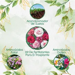 GENERICO - Kit De Fertilizantes Para El Trasplante De Clavel Granadina- Grenadin