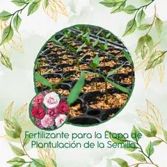 GENERICO - Fertilizante De Plantulación Para Clavel Granadina- Grenadin