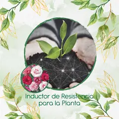 GENERICO - Fertilizante Inductor De Resistencia Para Clavel Granadina- Grenadin