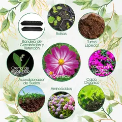 GENERICO - 150 Semillas De Flor Cosmos + Kit Orgánico
