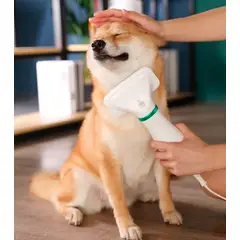 GENERICO - Cepillo para perro 2in1