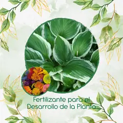 GENERICO - Fertilizante Para El Desarrollo De Flores silvestres