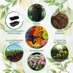 GENERICO - 100 Semillas Orgánicas De Flores Silvestres + Kit De Germinación