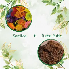 GENERICO - 200 Semillas De Flores Silvestres + Turba De Germinación