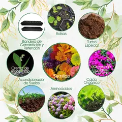 GENERICO - 200 Semillas De Flores Silvestres + Kit Orgánico