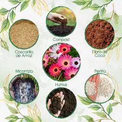 GENERICO - Kit De Acondicionadores De Suelos Para Flor Del Medio Día