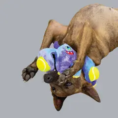 KONG COMPANY - KONG Woozles Peluche para Perro Colores Surtidos talla M