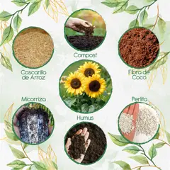 GENERICO - Kit De Acondicionadores De Suelos Para Flor Girasol