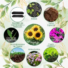 GENERICO - 50 Semillas De Flor Girasol + Kit Orgánico