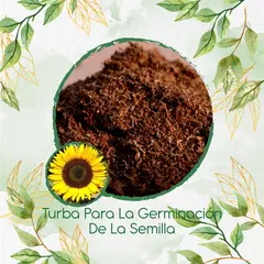 GENERICO - Turba Canadiense Especial Para Semillas De Girasol Domino