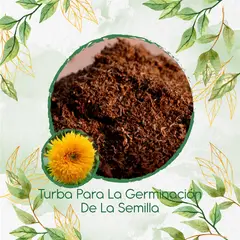 GENERICO - Turba Canadiense Especial Para Semillas De Girasol Enano