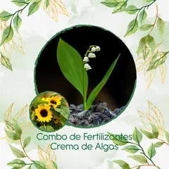 GENERICO - Combo De Fertilizantes Crema De Algas Para Flor Girasol Mini