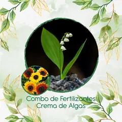 GENERICO - Combo De Fertilizantes Crema De Algas Para Girasol Belleza De Otoño