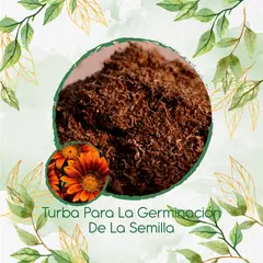 GENERICO - Turba Canadiense Especial Para Semillas De Girasol Mix Naranjas