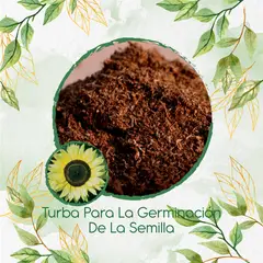 GENERICO - Turba Canadiense Especial Para Semillas De Girasol Monshine