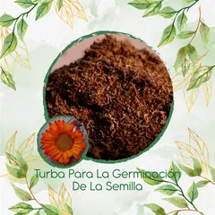 GENERICO - Turba Canadiense Especial Para Semillas De Girasol Naranja