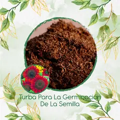 GENERICO - Turba Canadiense Especial Para Semillas De Girasol Rojo
