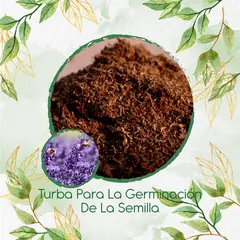 GENERICO - Turba Canadiense Especial Para Semillas De Lavanda