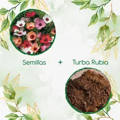 GENERICO - 100 Semillas De Flor Lino + Turba De Germinación