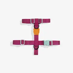GENERICO - ZeeDog H-harness ref Nox Sidus talla S