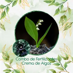 GENERICO - Combo De Fertilizantes Crema De Algas Para Flor Malva Real