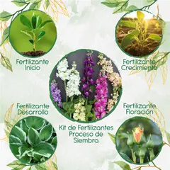 GENERICO - Kit De Fertilizantes Para La Siembra De Flor Matthiola Incana