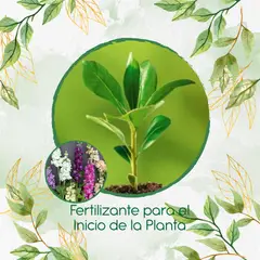 GENERICO - Fertilizante Para El Inicio De Flor Matthiola Incana