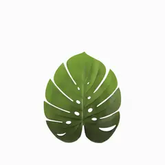 AMBIENTE GOURMET - Individual hoja monstera