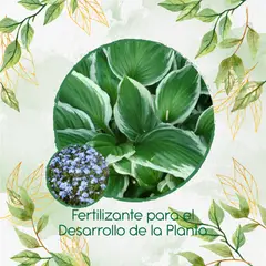 GENERICO - Fertilizante Para El Desarrollo De Flor No Me Olvides