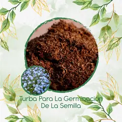 GENERICO - Turba Canadiense Especial Para Semillas De No Me Olvides